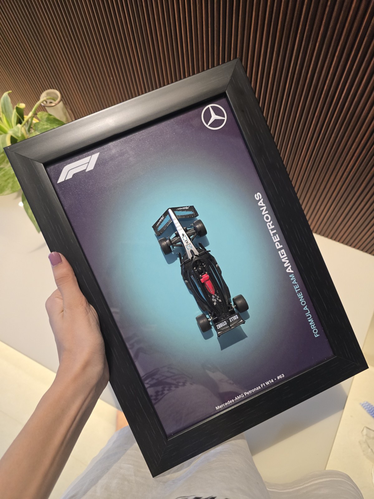 Mercedes-AMG Petronas F1 Matte Black — photo 4